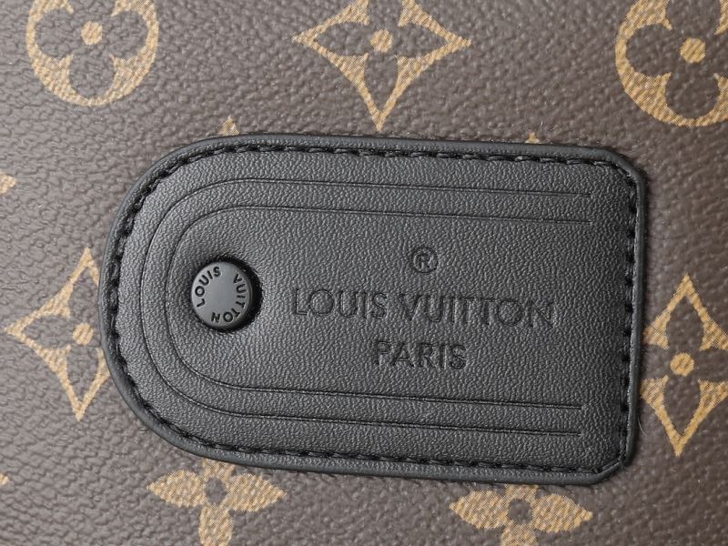 Louis Vuitton Satchel Bags